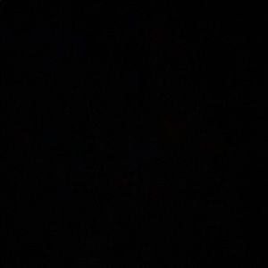 Meet your Posher, Tommy